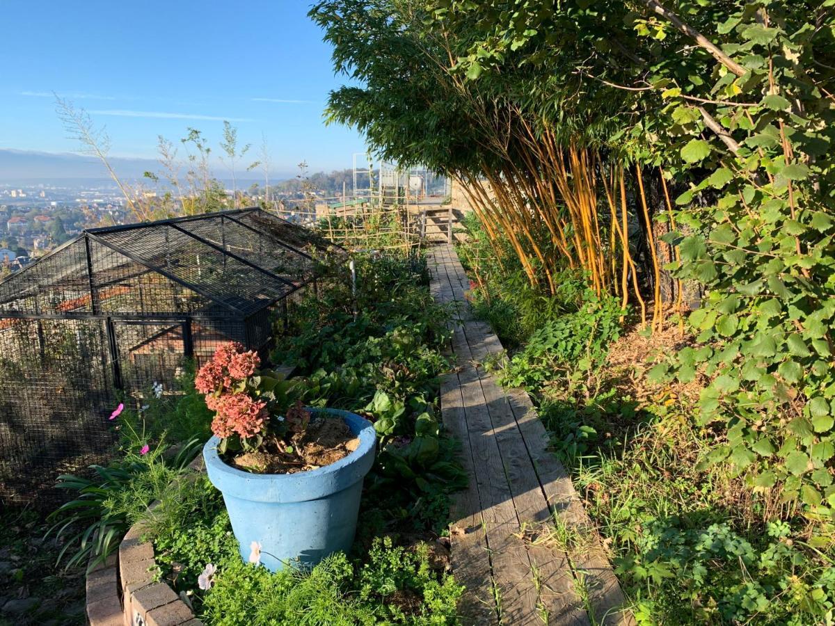 Rouen Eco Lodges Maison Entiere Avec Terrasse Dans Jardin Potager Piscine Parking Kültér fotó